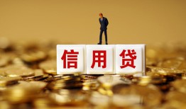 成都27哪有个人借贷-成都27小额贷款公司-成都27私借空放免费上门
